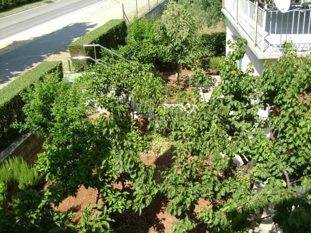 Apartmani Tome Zadar Buitenkant foto